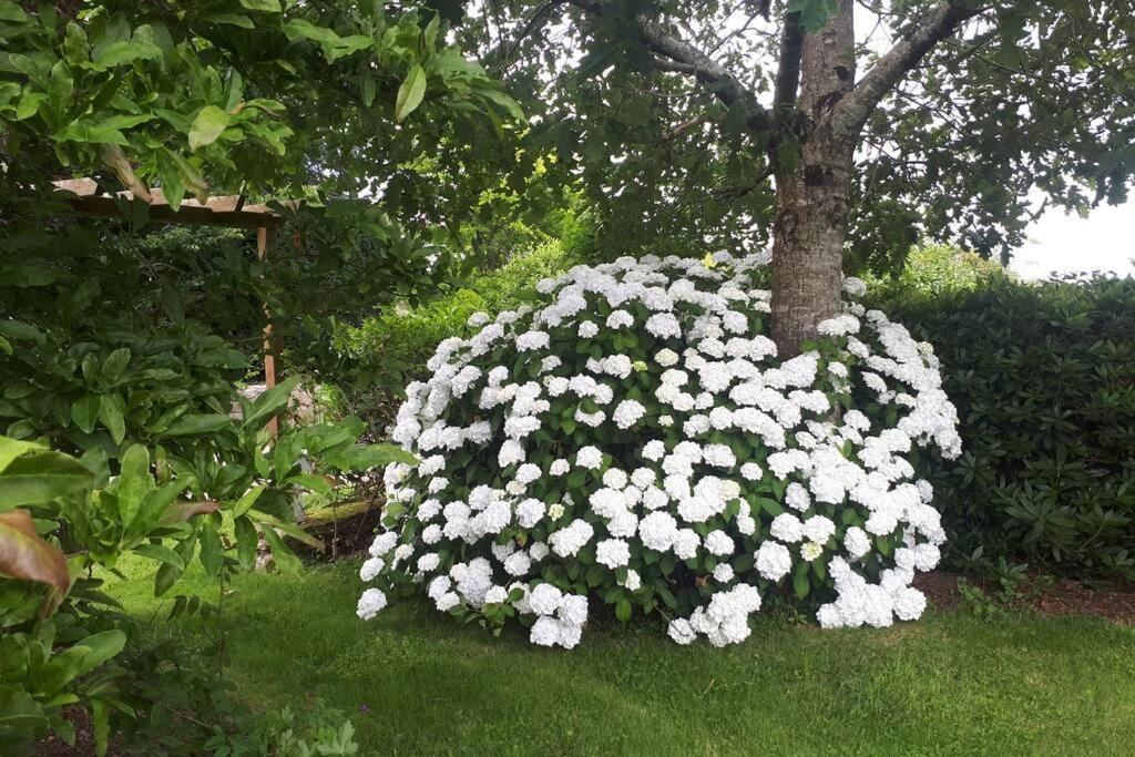 Ty Kreiz Villa Saint-Segal Bagian luar foto
